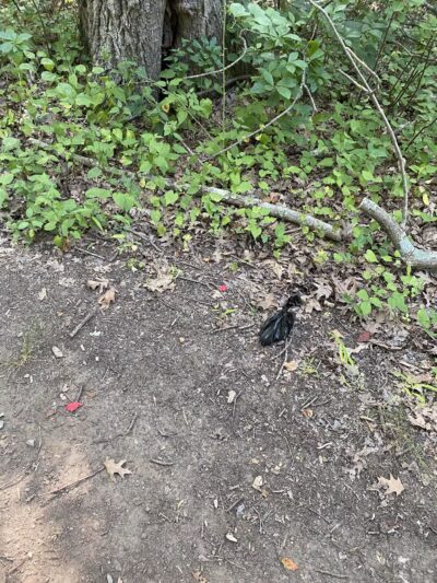 Sheepfold Dog Park - Stoneham, MA