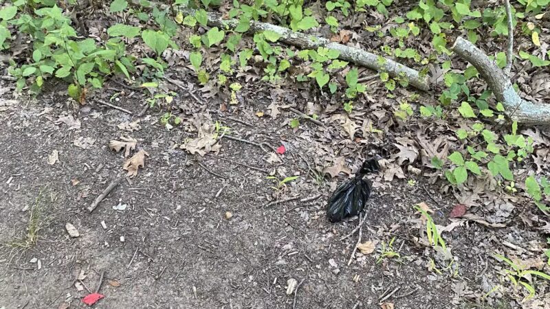 Sheepfold Dog Park - Stoneham, MA