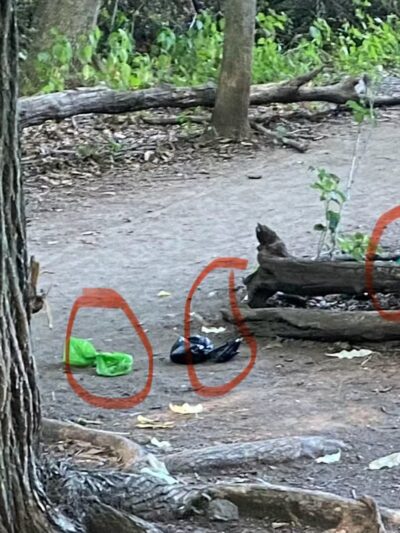 Sheepfold Dog Park - Stoneham, MA