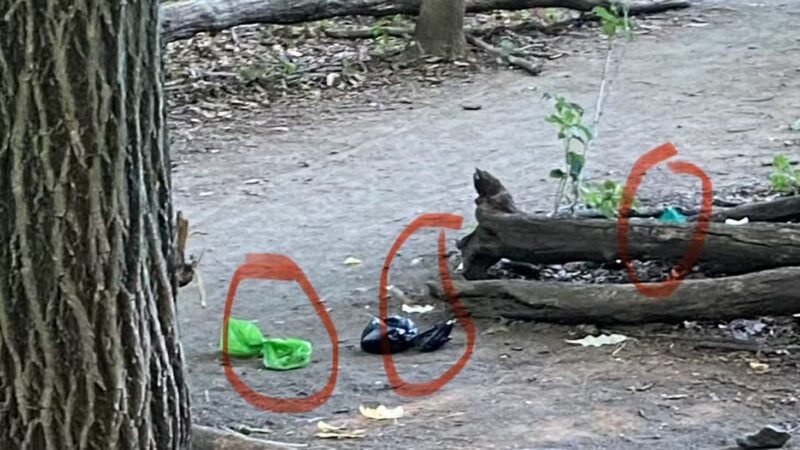 Sheepfold Dog Park - Stoneham, MA