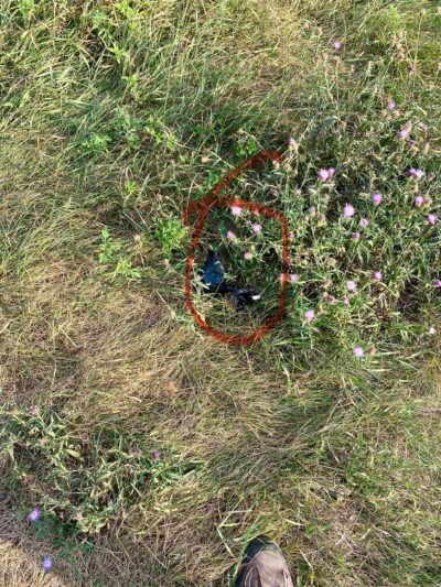 Sheepfold Dog Park - Stoneham, MA