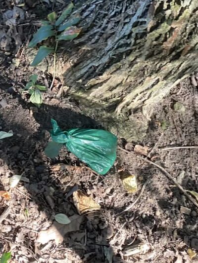 Sheepfold Dog Park - Stoneham, MA