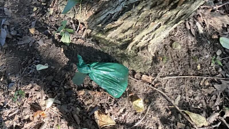 Sheepfold Dog Park - Stoneham, MA