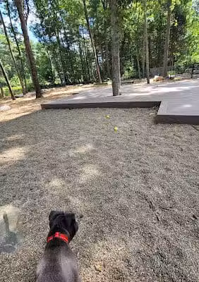 Capen-Reynolds Dog Park and Public Gardens - Stoughton, MA