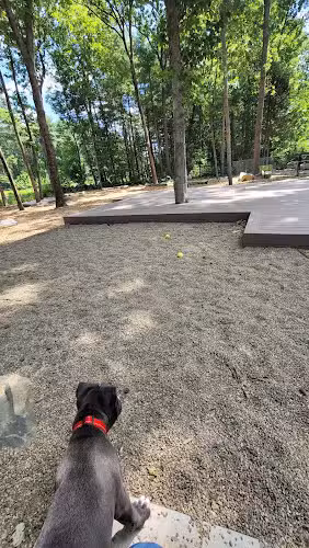Capen-Reynolds Dog Park and Public Gardens - Stoughton, MA