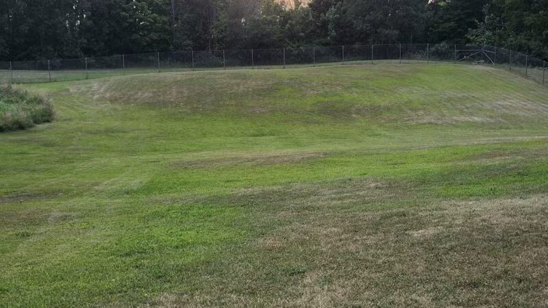 Shiloh Road Bark Park - Sturgeon Bay, WI