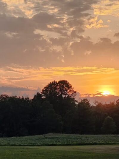 Shiloh Road Bark Park - Sturgeon Bay, WI