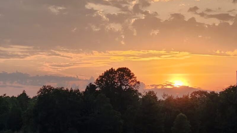 Shiloh Road Bark Park - Sturgeon Bay, WI