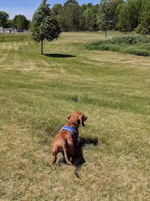 Shiloh Road Bark Park - Sturgeon Bay, WI