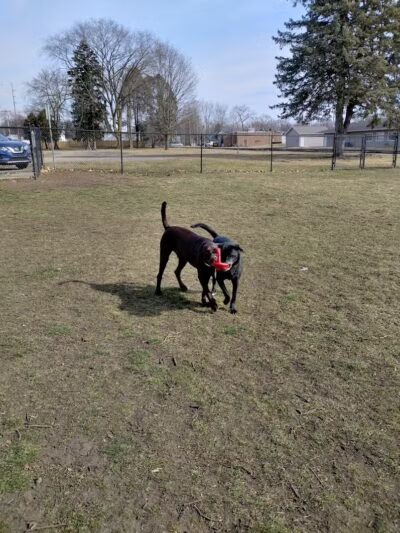 Old Depot Dog Park - Sturgis,