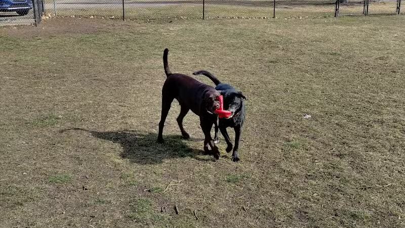 Old Depot Dog Park - Sturgis,