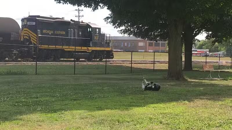Old Depot Dog Park - Sturgis,