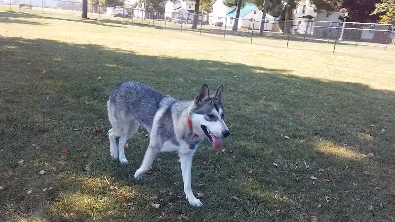 Old Depot Dog Park - Sturgis,