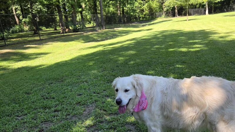 Lake Meade Dog Park - Suffolk, VA