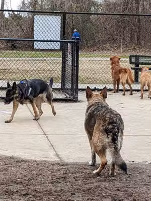 Lake Meade Dog Park - Suffolk, VA