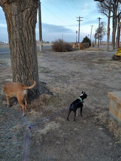 Sugar City Park - Sugar City, CO