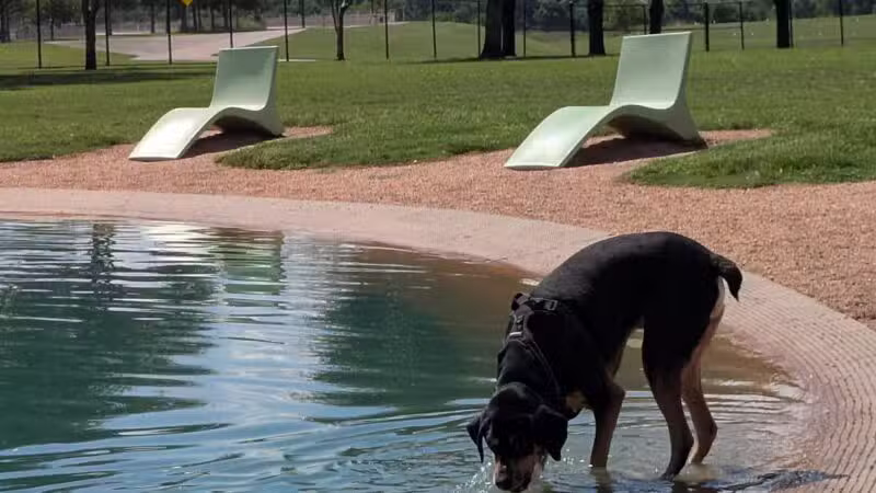 Pawm Springs Dog Park - Sugar Land, TX