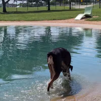 Pawm Springs Dog Park - Sugar Land, TX