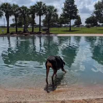 Pawm Springs Dog Park - Sugar Land, TX