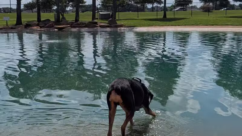 Pawm Springs Dog Park - Sugar Land, TX