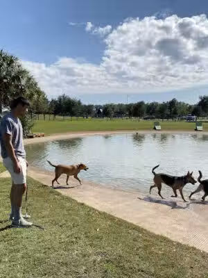 Pawm Springs Dog Park - Sugar Land, TX