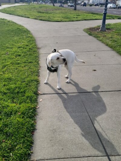 Heritage Park - Suisun City, CA