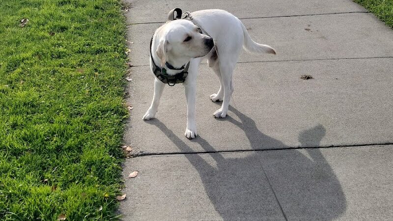 Heritage Park - Suisun City, CA