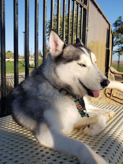 Lawler Ranch Park - Suisun City, CA