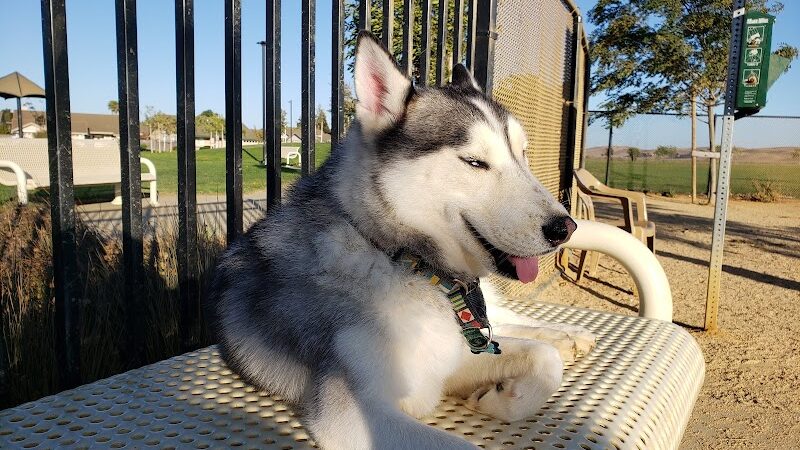 Lawler Ranch Park - Suisun City, CA