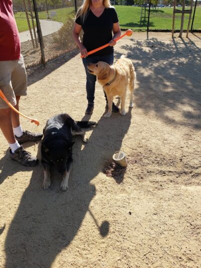 Lawler Ranch Park - Suisun City, CA