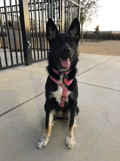 Lawler Ranch Park - Suisun City, CA