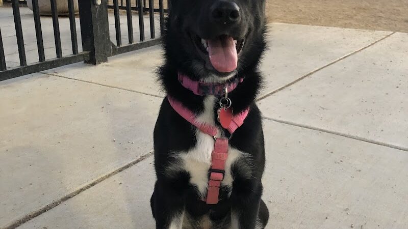 Lawler Ranch Park - Suisun City, CA