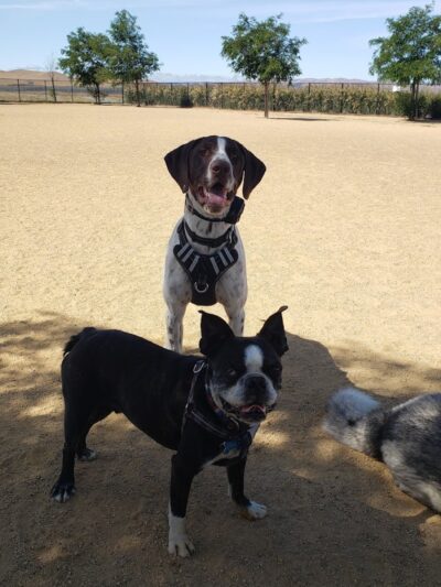 Lawler Ranch Park - Suisun City, CA