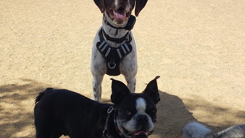 Lawler Ranch Park - Suisun City, CA