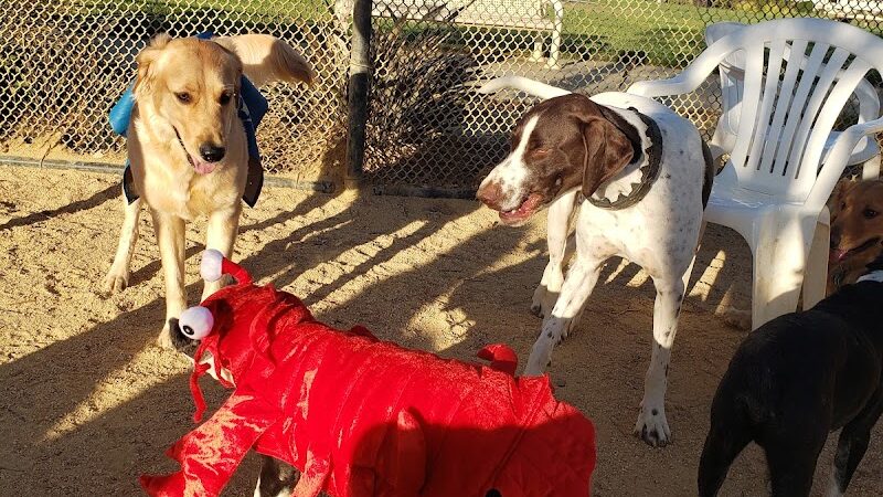 Lawler Ranch Park - Suisun City, CA