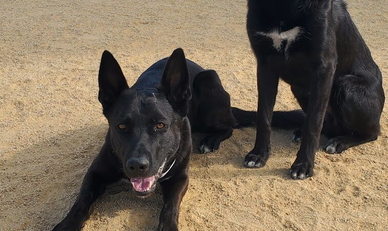 Lawler Ranch Park - Suisun City, CA