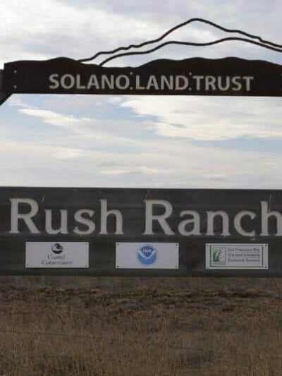 Rush Ranch Open Space - Suisun City, CA
