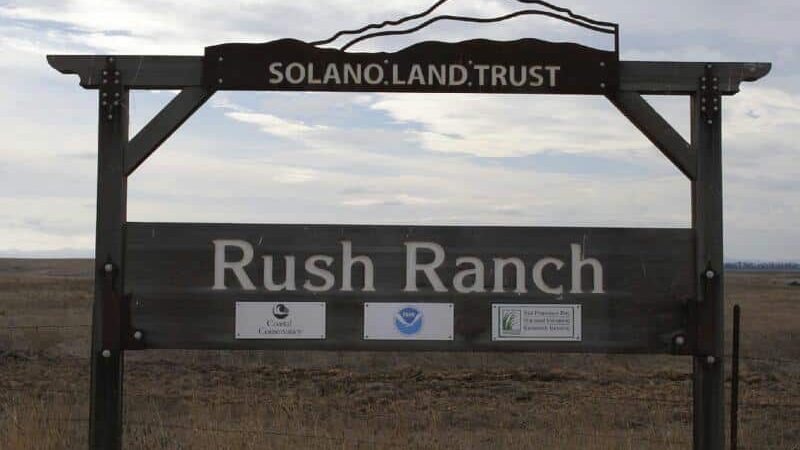 Rush Ranch Open Space - Suisun City, CA