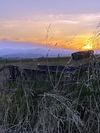 Rush Ranch Open Space - Suisun City, CA