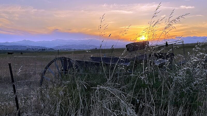 Rush Ranch Open Space - Suisun City, CA