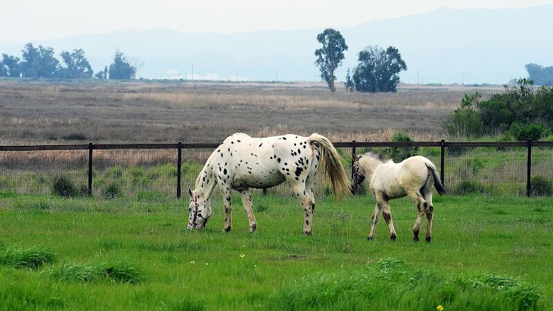 Rush Ranch Open Space - Suisun City, CA
