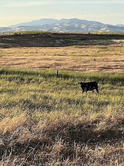 Rush Ranch Open Space - Suisun City, CA