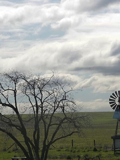 Rush Ranch Open Space - Suisun City, CA