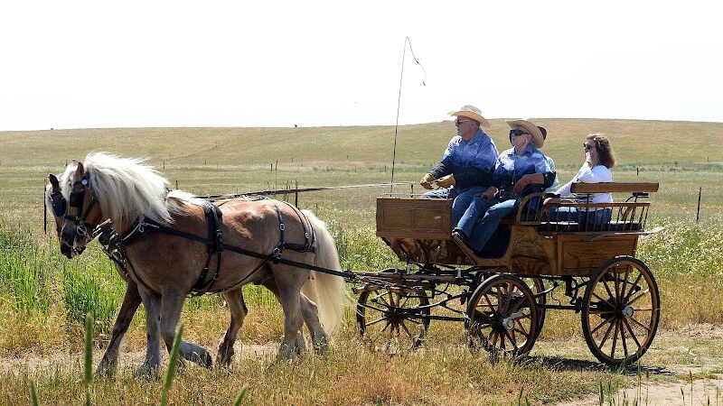Rush Ranch Open Space - Suisun City, CA