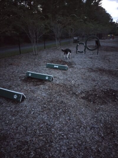 Dog Park @ Carnes Crossroads - Summerville, SC