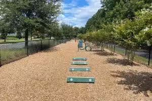 Dog Park @ Carnes Crossroads - Summerville, SC