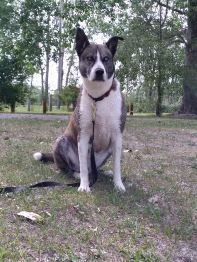 Paul Hubscher County Park - Sumner,