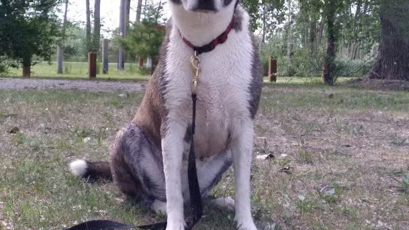 Paul Hubscher County Park - Sumner,