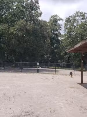 BarkPark - Sumter, SC