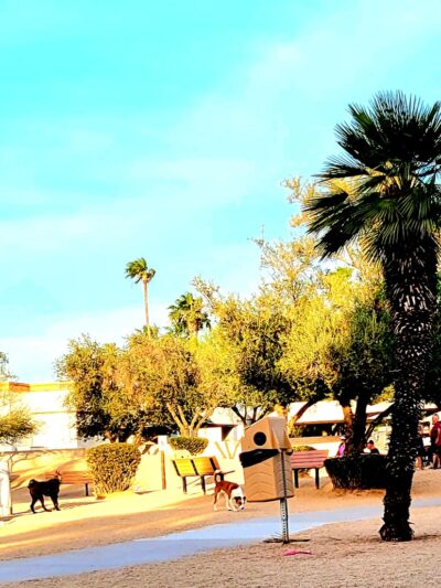 Duffeeland Dog Park *Key Required* - Sun City, AZ